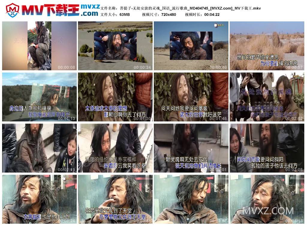 菩提子-无处安放的灵魂_国语_流行歌曲_MD404745